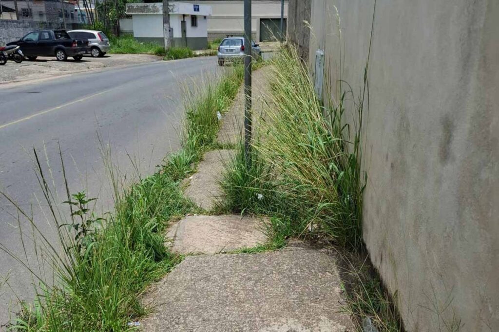 VU-CALÇADA-VEGETAÇÃO-CAPA