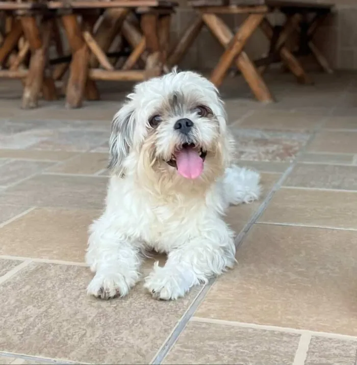 WhatsApp Image 2025 12 22 at 19.18.21