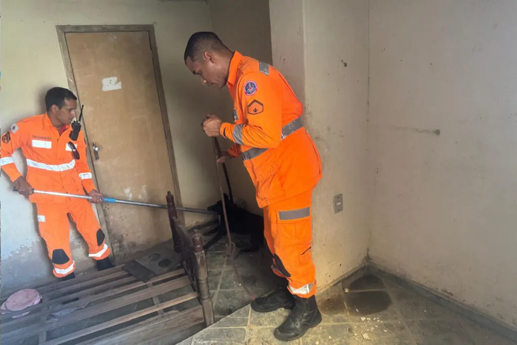 Juiz de Fora registra mais casos recentes de abandono e maus-tratos a cães