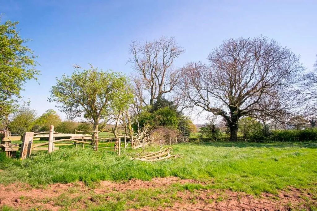 Justiça mantém cancelamento de venda de lotes após fraude documental 1 terreno by envato elements reproducao tjmg editada
