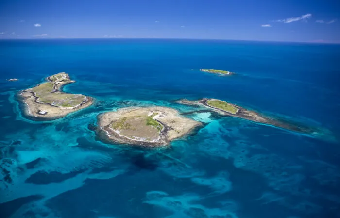 077 parna marinhodosabrolhos enrico marcovaldi jpg