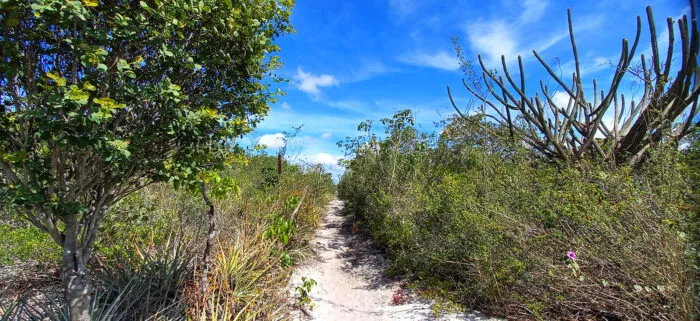 20230418 092938 tamanho menor