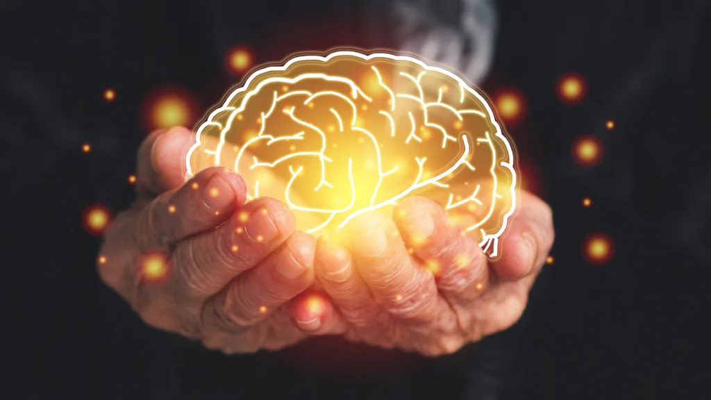 Pesquisas recentes indicam que cannabis medicinal e Alzheimer podem estar ligados a freio na progressão da doença 2 cannabis medicinal e alzheimer estudo brasileiro com microdoses