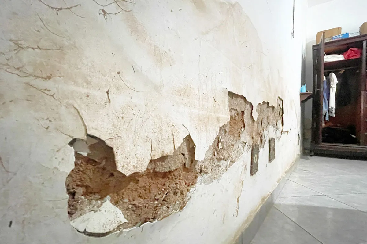 WhatsApp-Image-2026-01-14-at-07.29