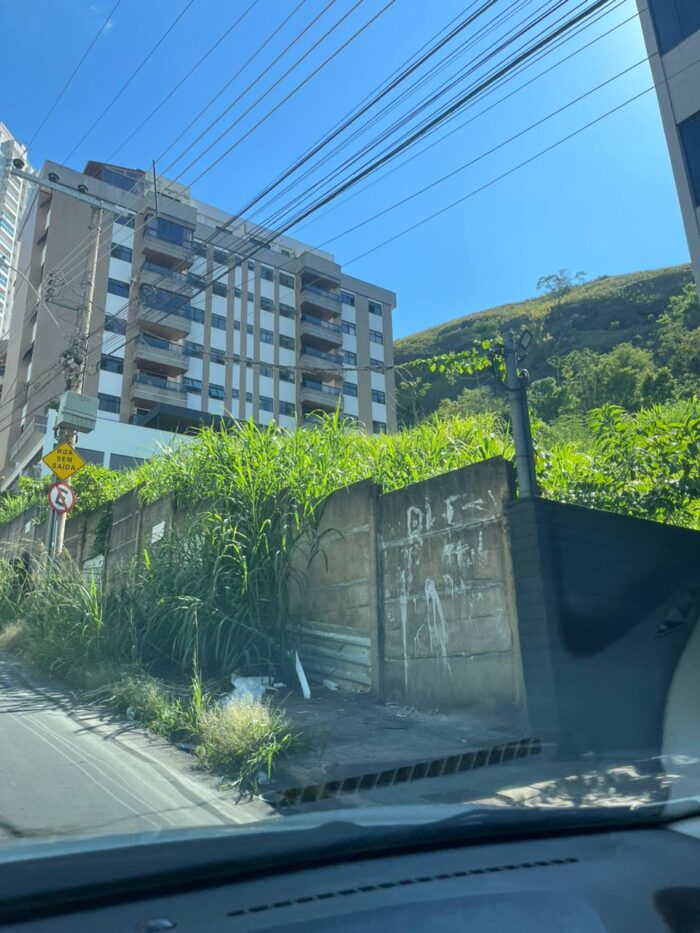 Mato alto em terreno baldio avança sobre calçada no Cascatinha 1 WhatsApp Image 2026 01 15 at 11.27.00 1