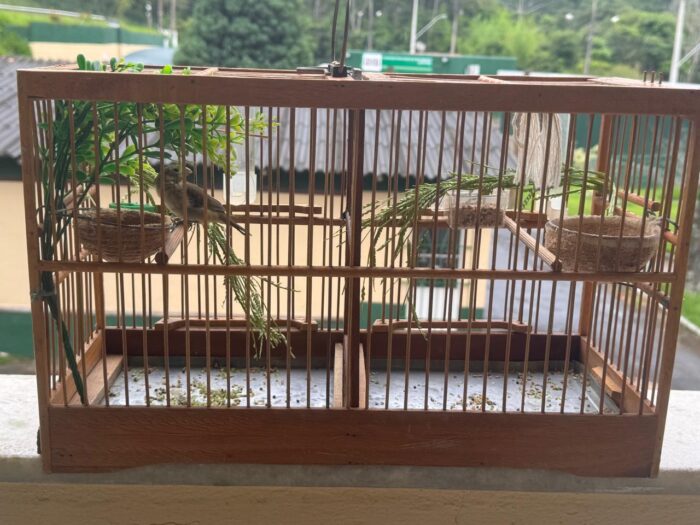 WhatsApp Image 2026-01-19 at 08.32.55