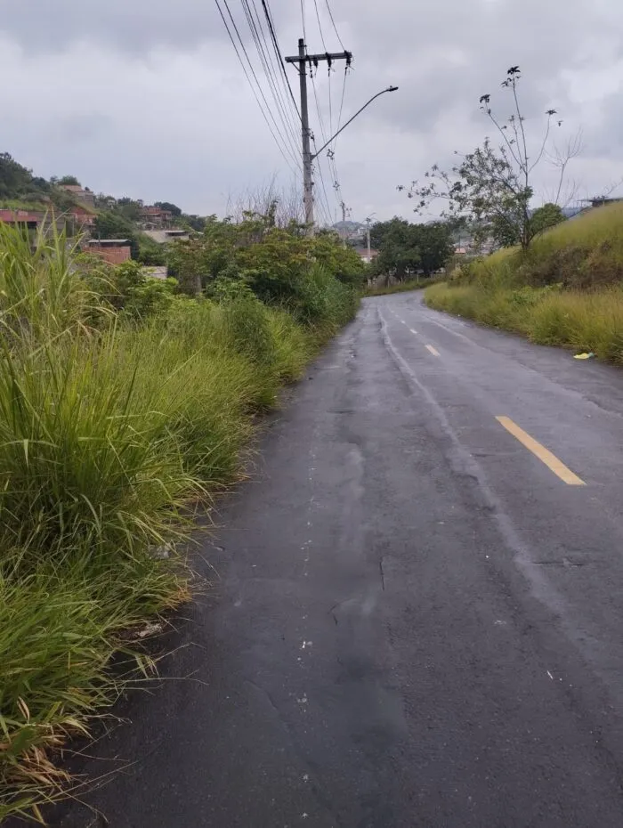 Mato alto invade Rua no São Judas Tadeu e reduz acostamento 2 WhatsApp Image 2026 01 27 at 08.04.38 1