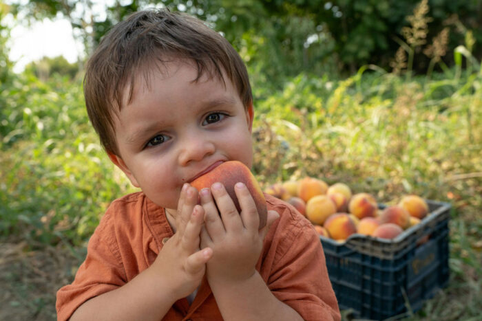 alimentação saudável