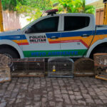 Homem é multado em R$ 28 mil por cativeiro irregular de pássaros em Carangola