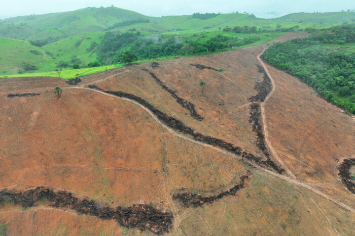 Polícia de Meio Ambiente aplica R$ 536 mil em multas por desmate de 18 hectares em Pirapetinga