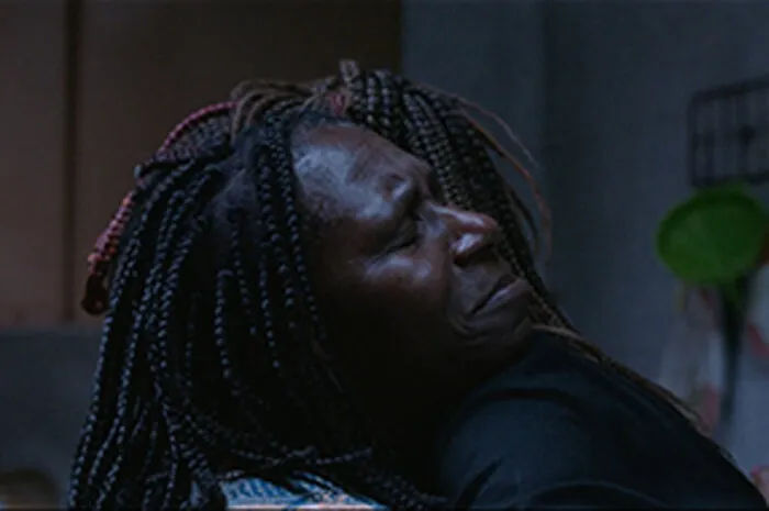 festival de cinema cinema