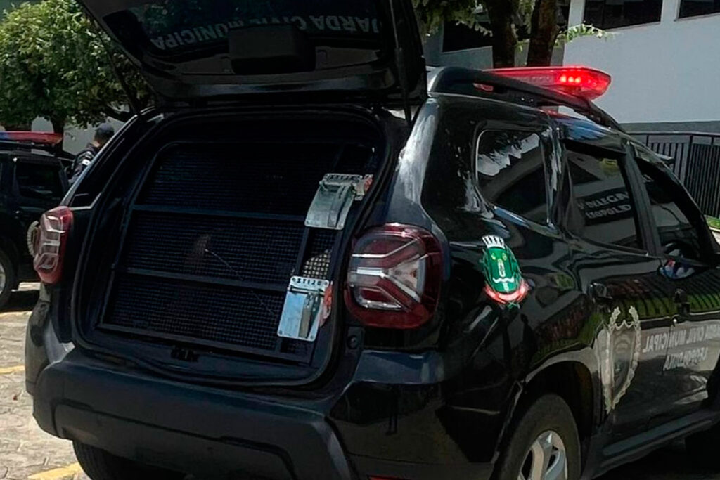 Homem é preso por dirigir embriagado e atropelar cachorro 1 homem atropela cachorro foto guarda municipal leopoldina
