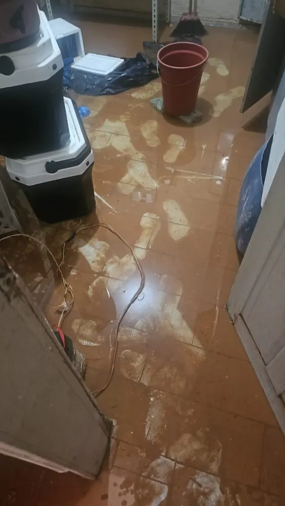 01c48401 9f7f 4977 a947 cc7f559eeb0d