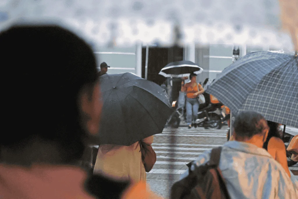 VÍDEO: Meteorologista esclarece o que significa previsão de 100 mm de chuva por dia em Juiz de Fora 1 chuva