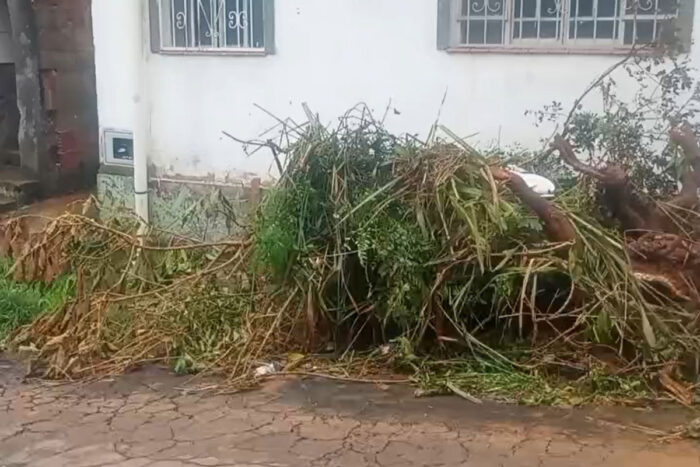 chuvas artistas juiz de fora