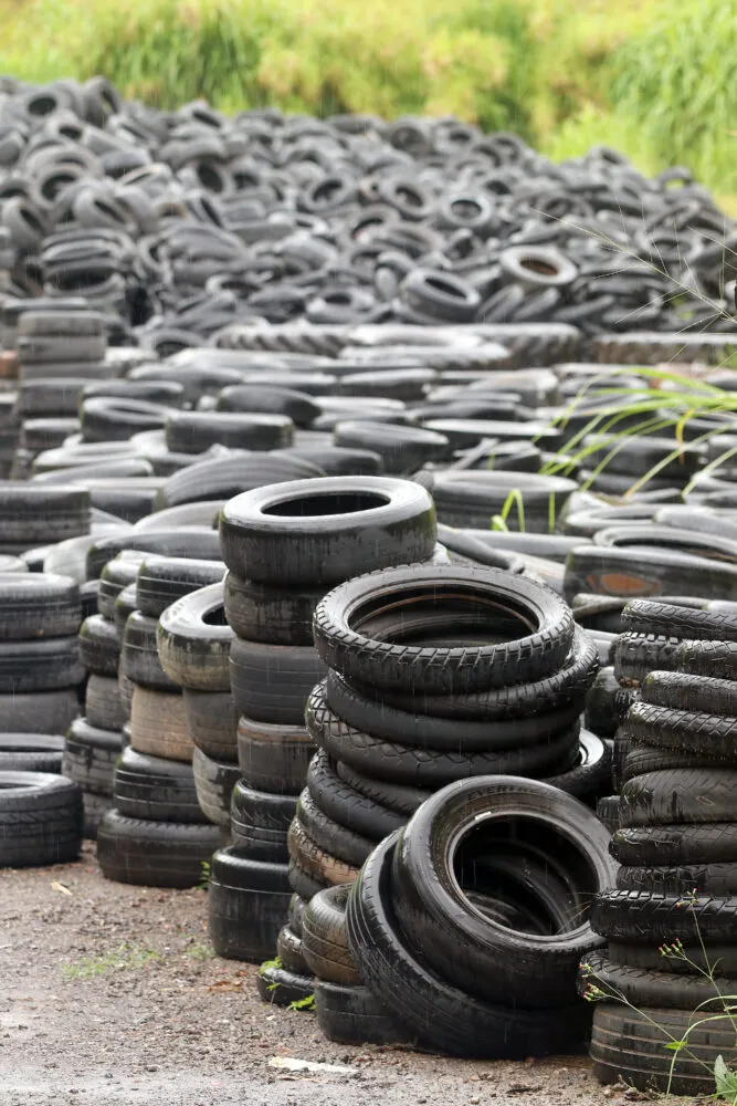 Descarte irregular de lixo supera em mais de 8 mil toneladas o recebido em ecopontos 4 ECOPONTO FELIPE COURI 6.jpg