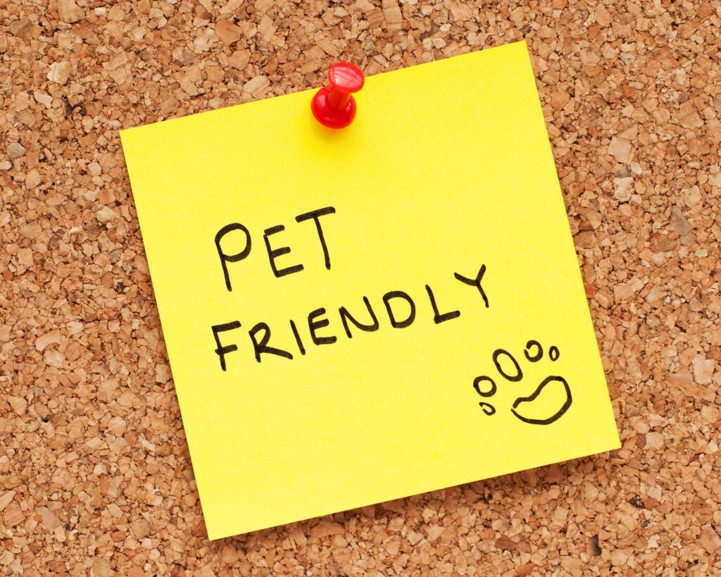 Pet-friendly, de verdade