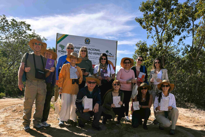 viagem grande sertão: veredas