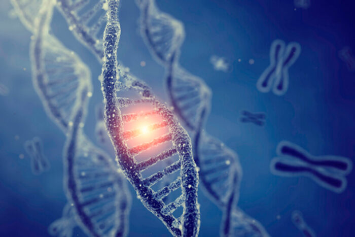 Síndrome de Li-Fraumeni tem alta prevalência nas regiões Sul e Sudeste e exige monitoramento, alertam médicos 3 SÍNDROME-DE-LI-FRAUMENI