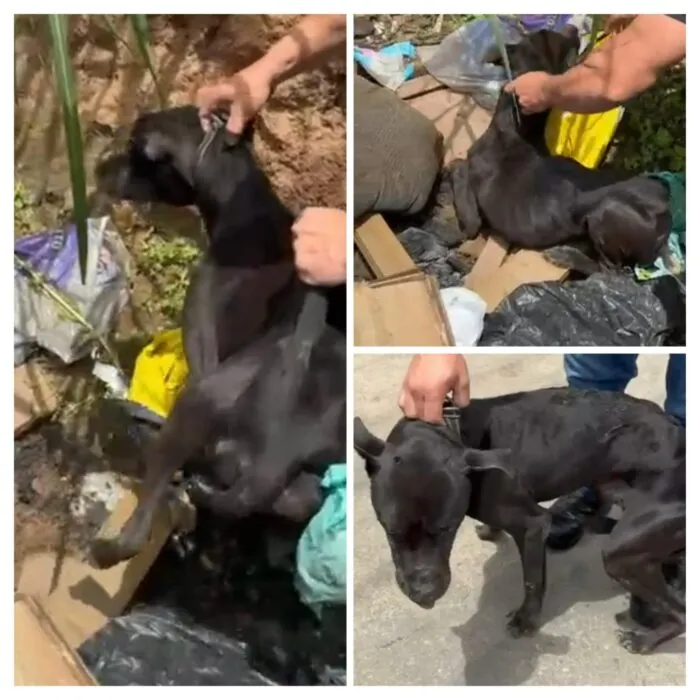 WhatsApp Image 2026 02 02 at 16.20.49