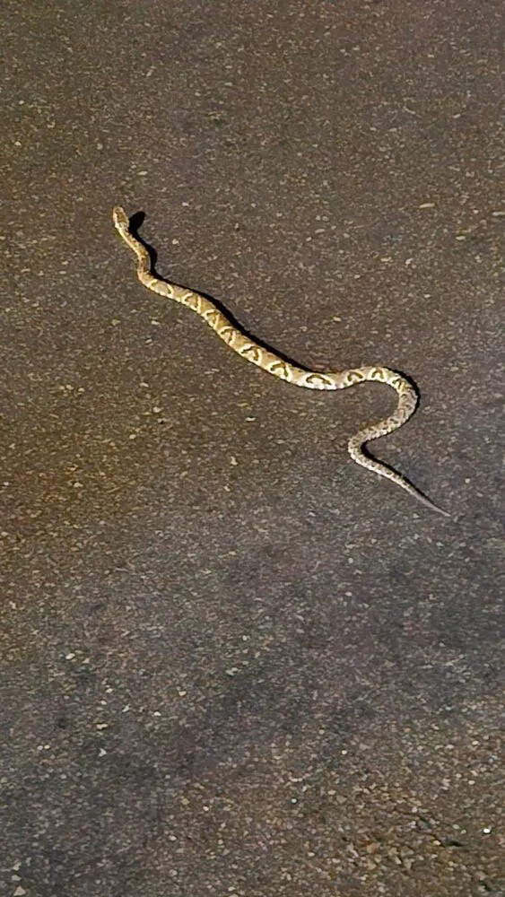 WhatsApp Image 2026 02 10 at 06.22.25