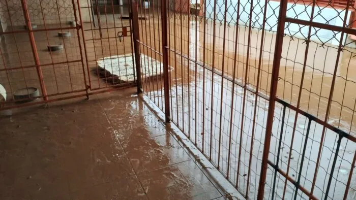 WhatsApp Image 2026 02 25 at 07.04.51 1