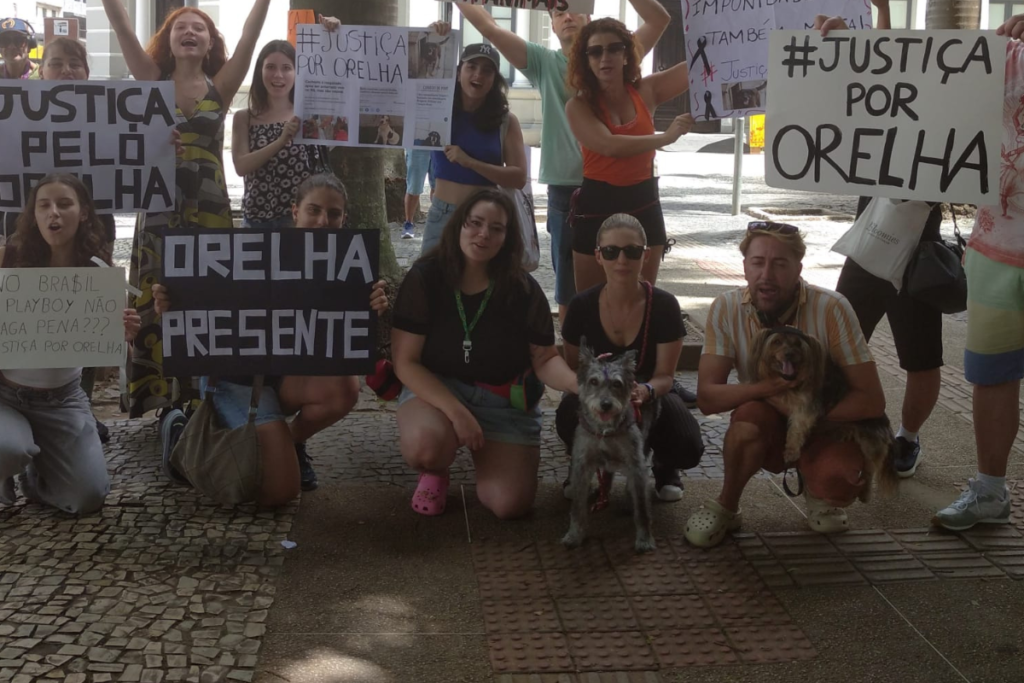 Juiz de Fora melhor para os animais 1 Juiz de Fora melhor para os animais