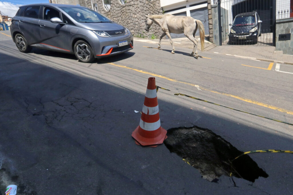 buraco-cavalo-democrata-felipe-couri
