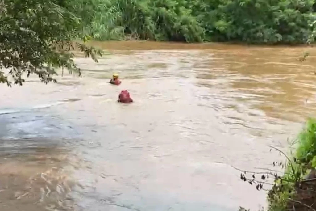 VÍDEO: Mulher se agarra à árvore e sobrevive após ser arrastada por correnteza no Sul de Minas