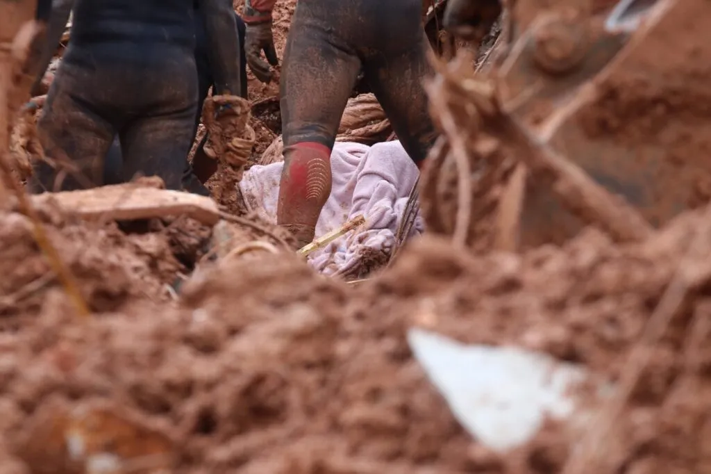 numeros juiz de fora Felipe Couri