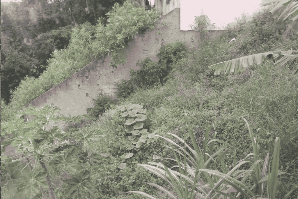TERRENO MATO ALTO