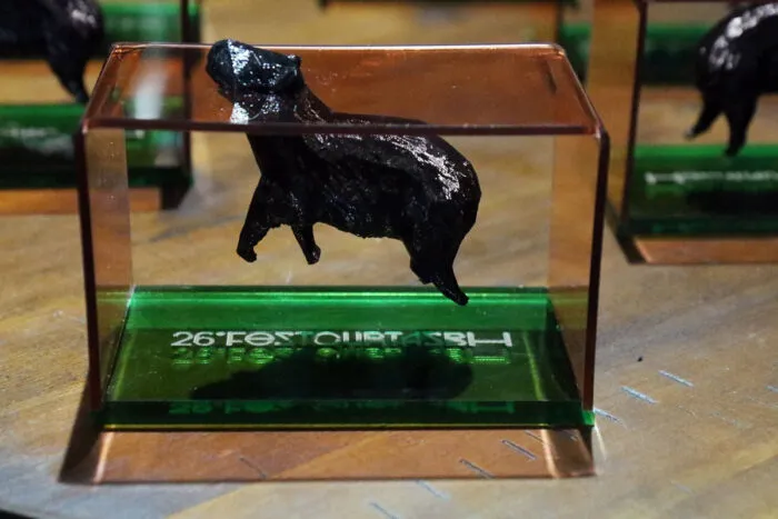 festival de curtas de belo horizonte