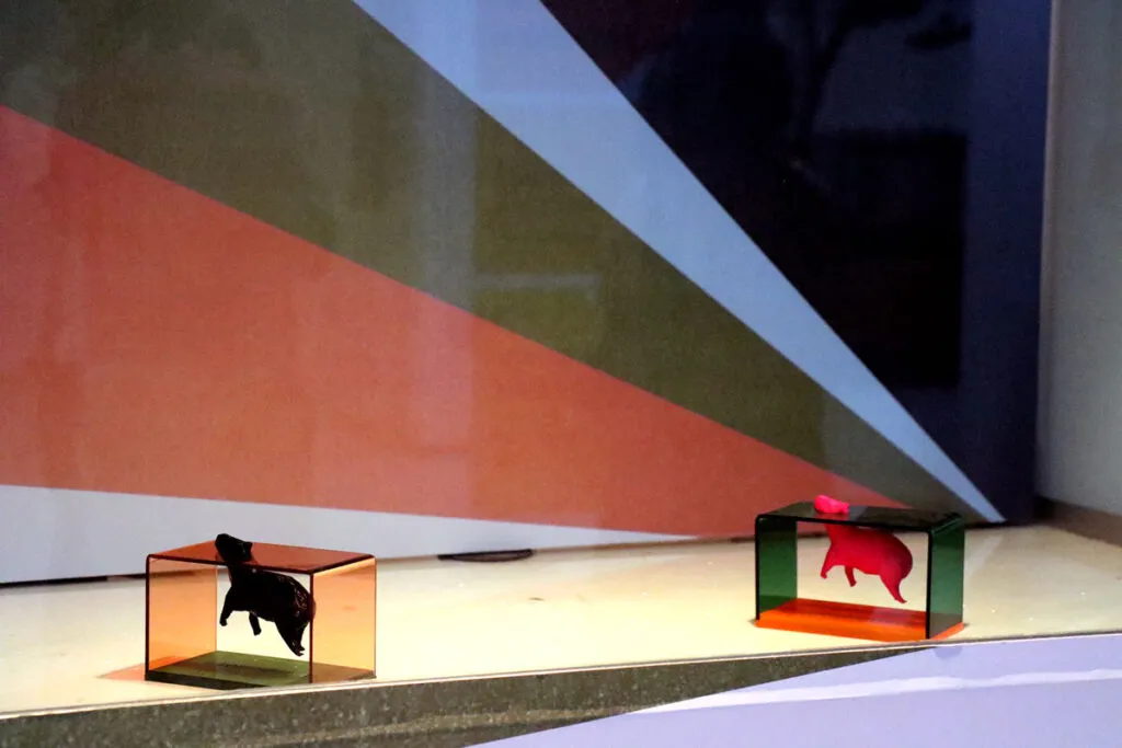 festival de curtas de belo horizonte