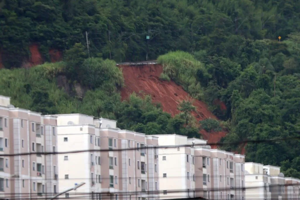 GENTIL-FORN-INTERDIÇÃO-LEO-COSTA