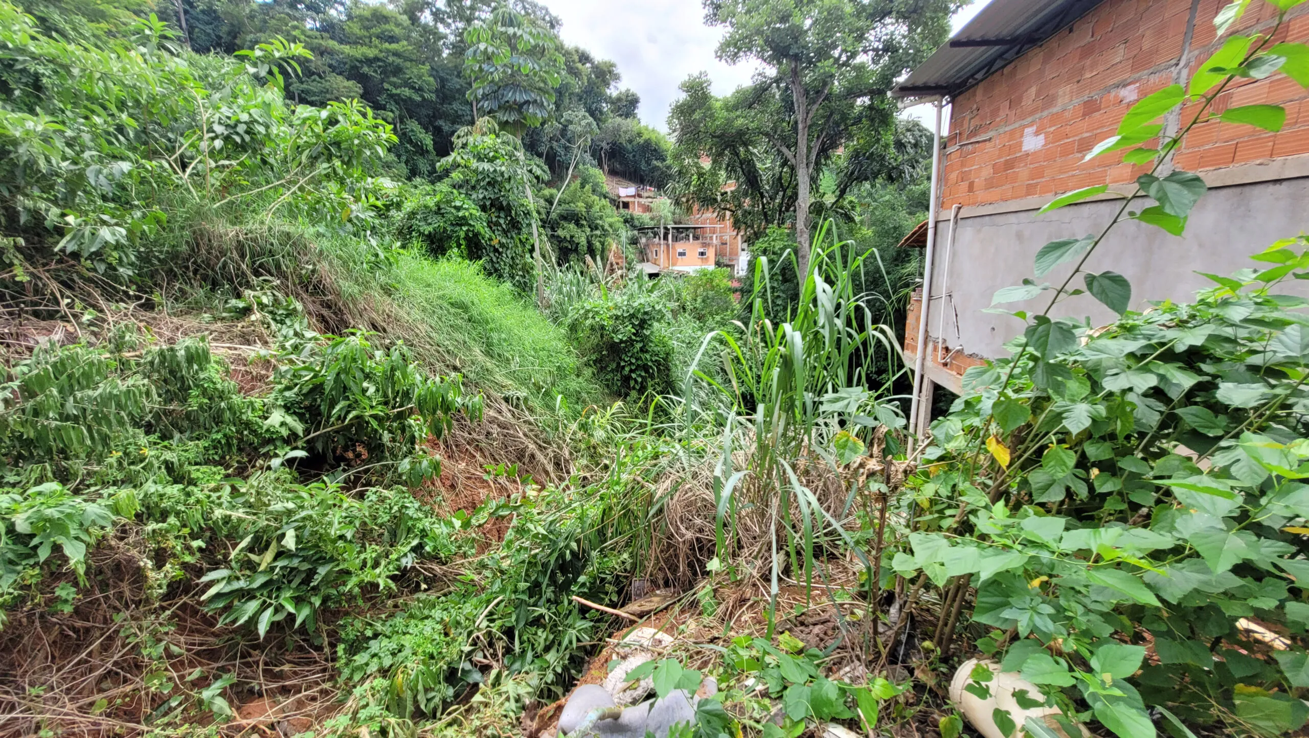 GRAMINHA - LEONARDO COSTA 04.jpg GRAMINHA - LEONARDO COSTA 04.jpg