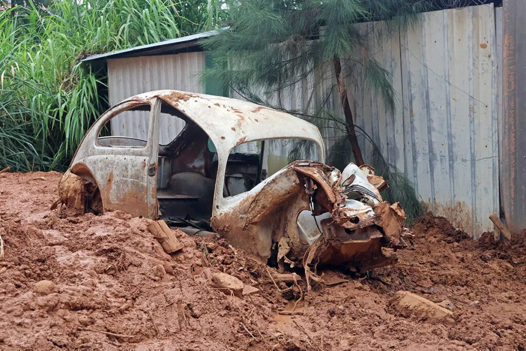 GRAMINHA---LEONARDO-COSTA-05