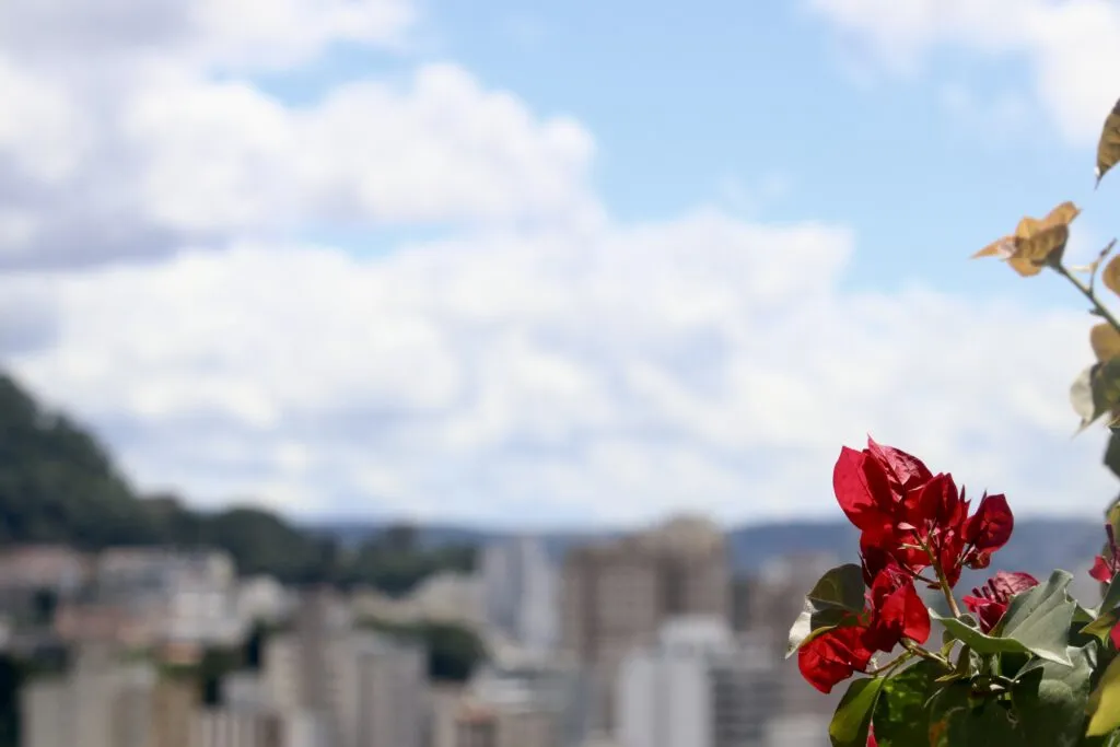 Com baixa chance de chuva, fim de semana será quente em Juiz de Fora 2 TEMPO FELIPE COURI 2.jpg