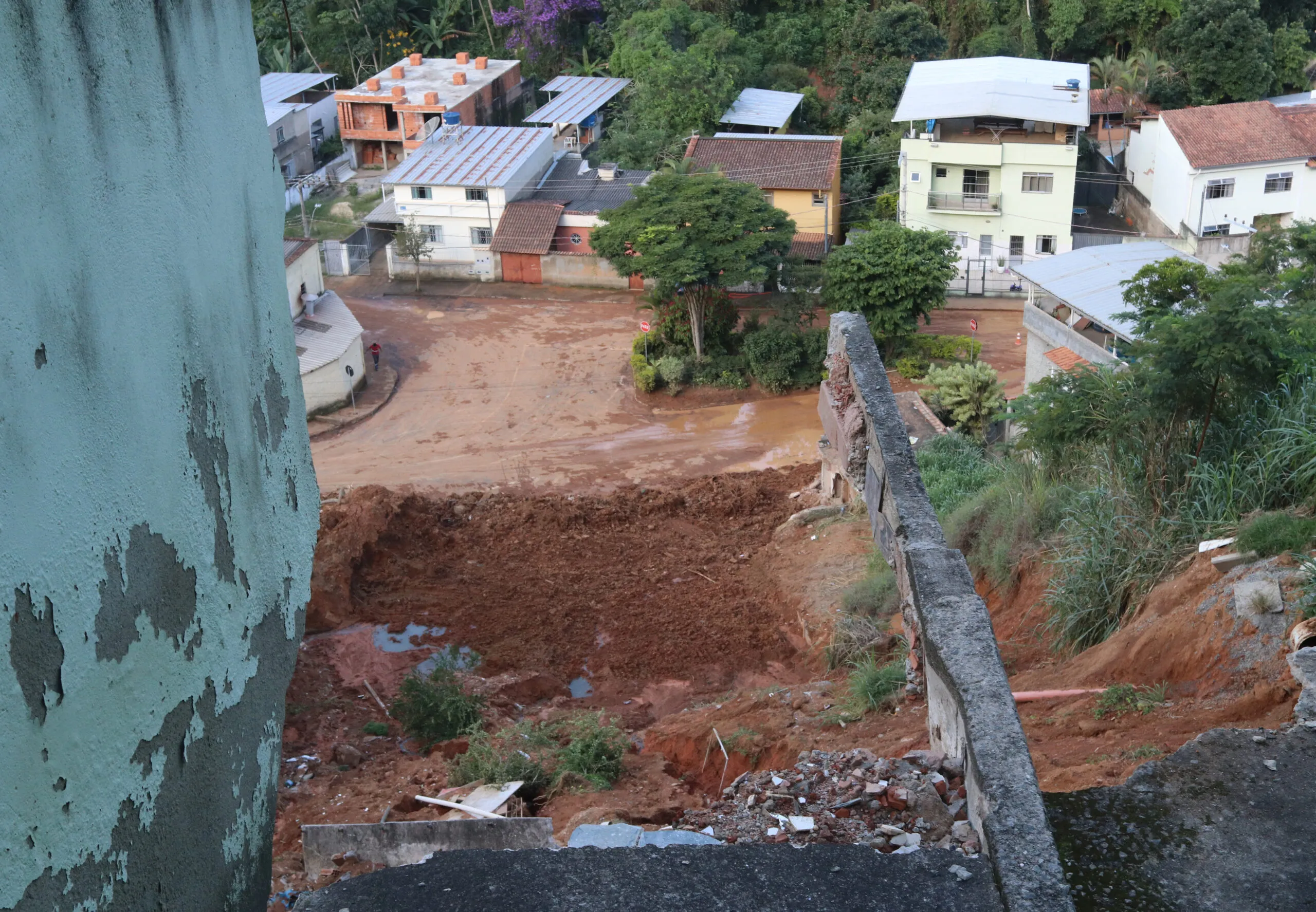 TIGUERA - FELIPE COURI (1).jpg