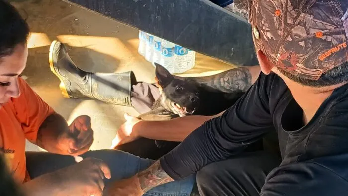 WhatsApp Image 2026-03-06 at 11.23.33