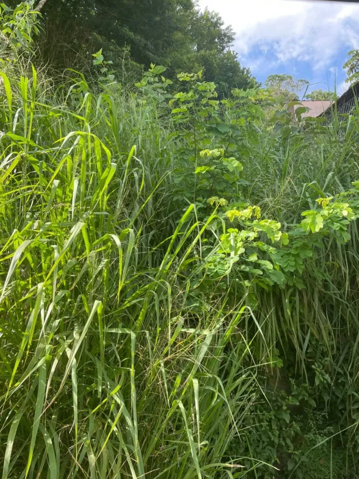 WhatsApp Image 2026-03-23 at 12.29.41 (1)