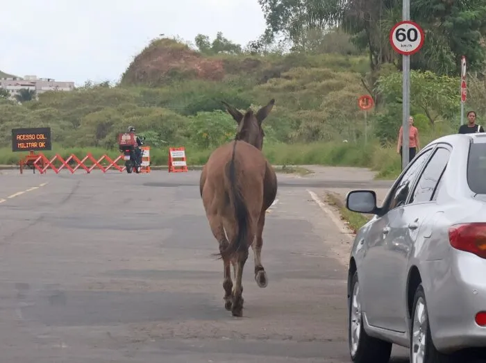 WhatsApp Image 2026 03 31 at 12.02.22 1