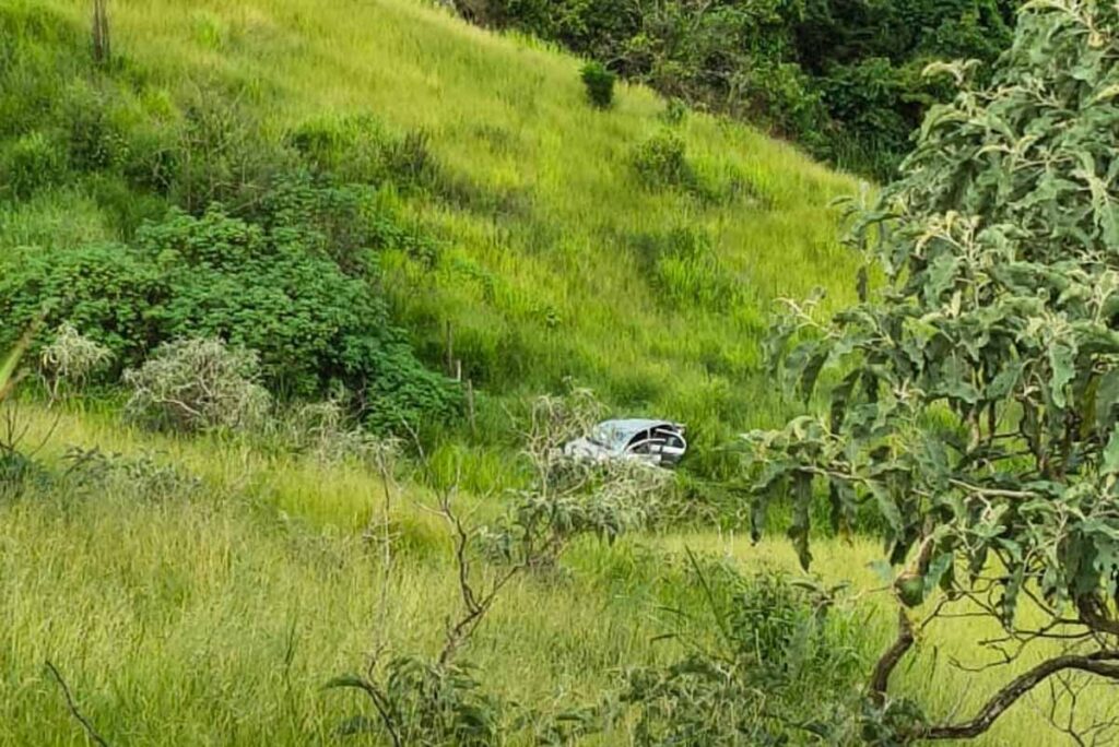Mulher sobrevive após carro cair em ribanceira de cerca de 100 metros em Juiz de Fora