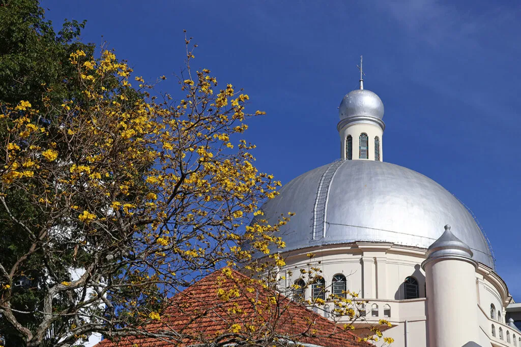 catedral semana santa