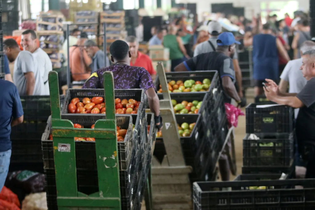 ceasa felipe couri 5