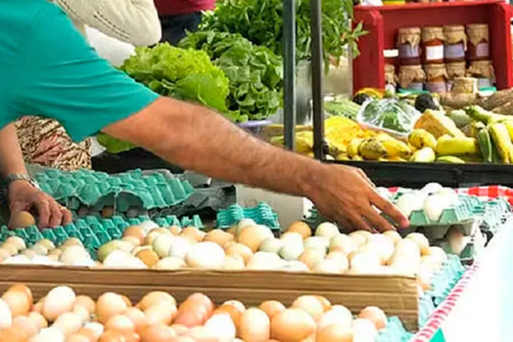 feira noturna foto pjf