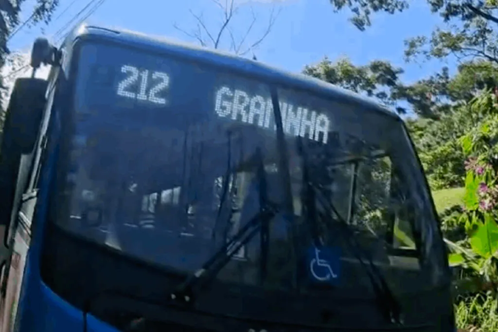 onibus graminha