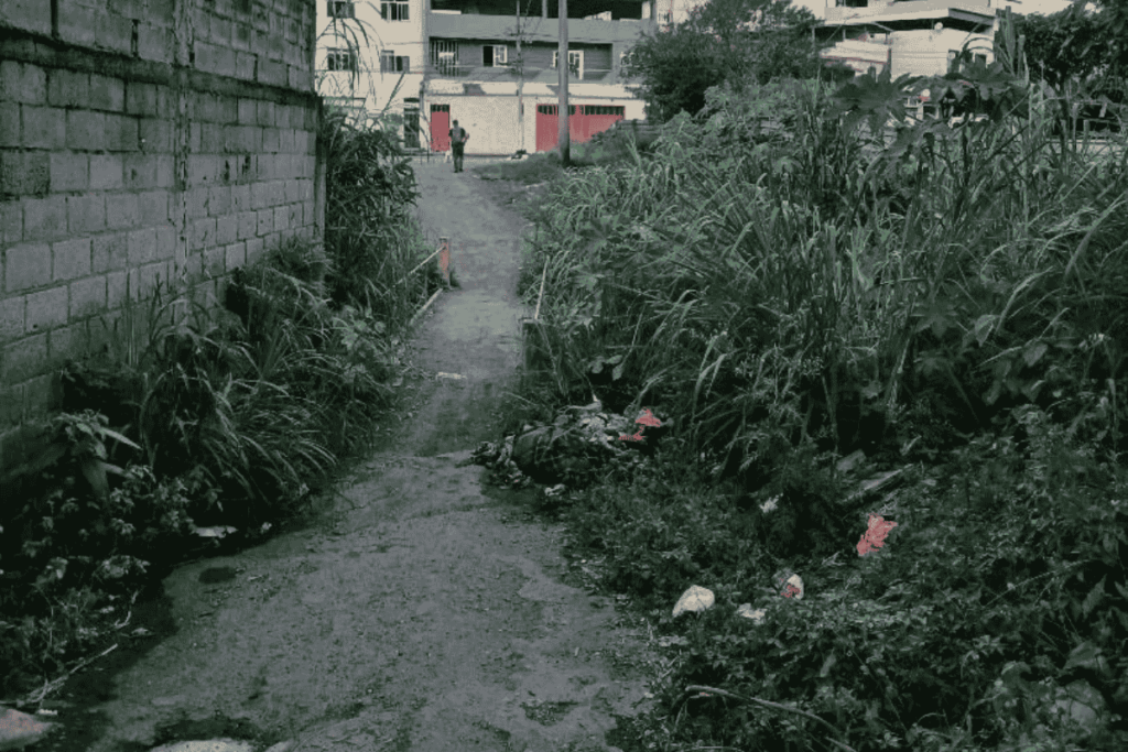 Moradores denunciam falta de manutenção em passagem na Zona Norte de Juiz de Fora 2 1200 x 800 39