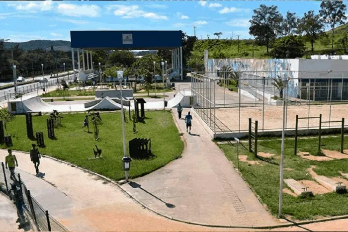 Evento de adoção de animais vítimas das chuvas acontece neste domingo em Juiz de Fora