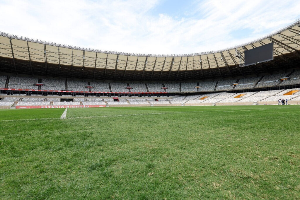 Lei permite acesso gratuito de autistas a jogos com portões fechados em Minas; confira 2 2392684172