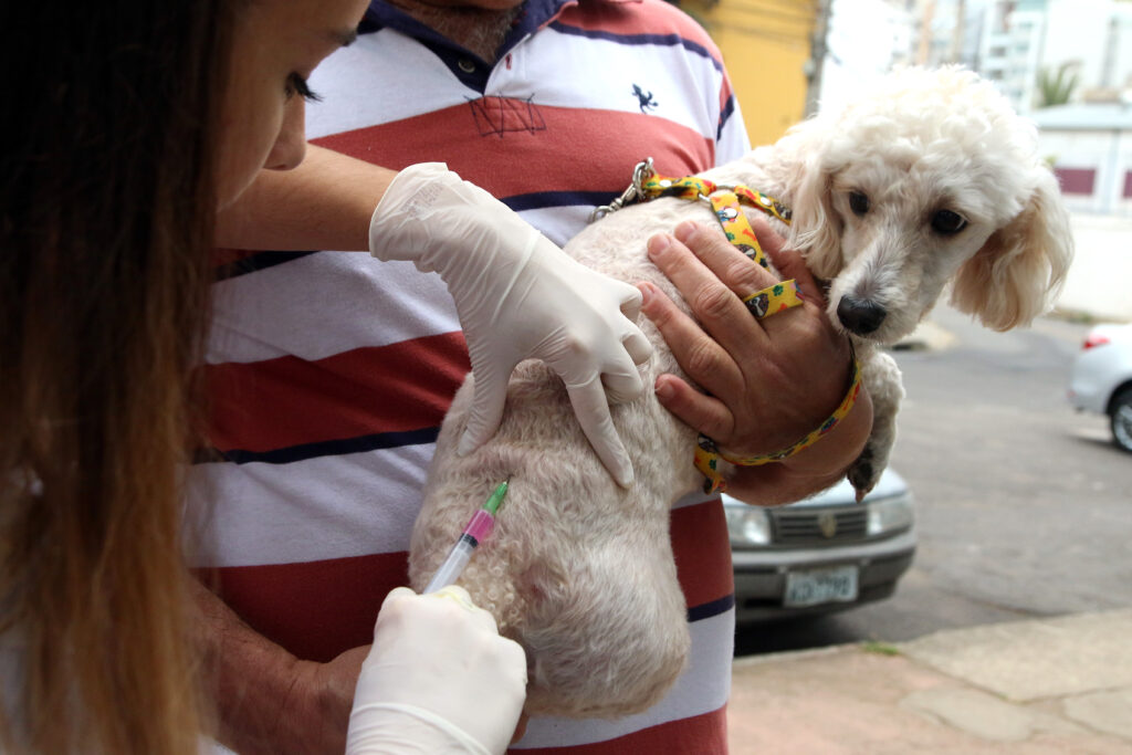 Veja 8 motivos para vacinar o seu animal contra a raiva 4 ESPECIAL PET uploads FERNANDO PRIAMO 29.08.2015 11.08.39 h 5T5A1844